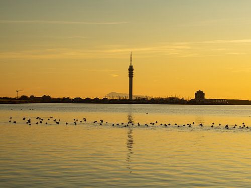 Toren van Lelystad
