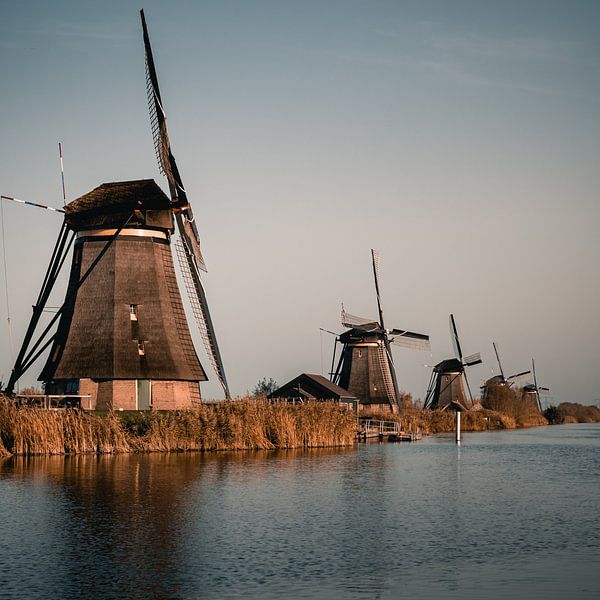 Mills of Kinderdijk by Fahim Nasim