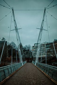 November brug van Brave Toaster Photos