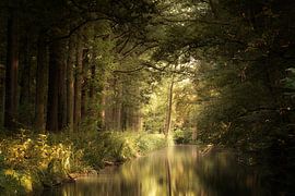 On the waterfront by Kees van Dongen