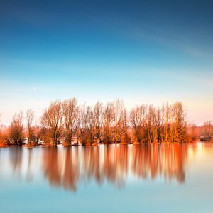 Flooded Trees von Ruud Peters