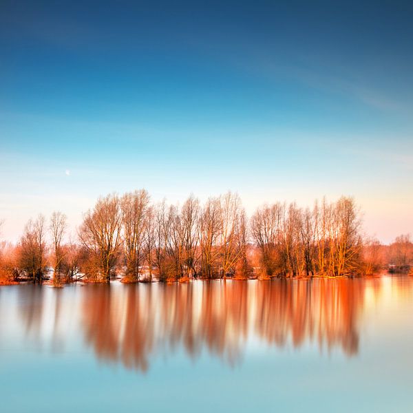 Flooded Trees by Ruud Peters