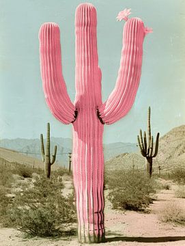 Vintage pink cactus van Studio Allee