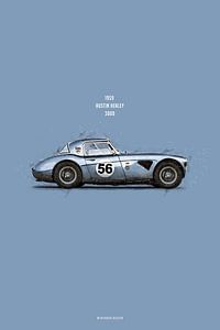 Cars in Colors, Austin Healey 3000