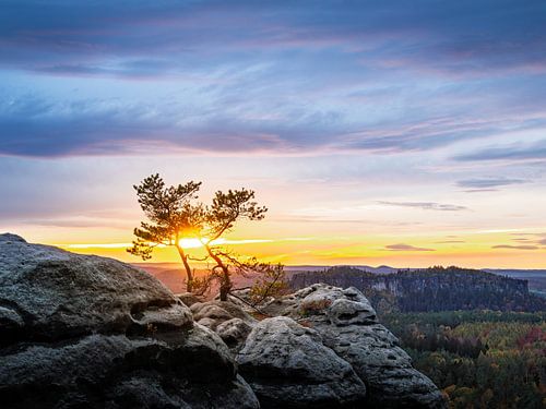 Sonnenuntergang in der Sächsischen Schweiz