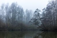 Forgotten world