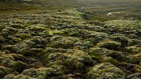 Photographie de paysage Islande