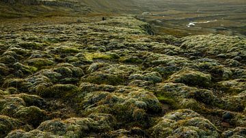Landschaftsaufnahme Island von VIDEOMUNDUM