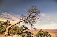 Grand Canyon par fotoping Aperçu