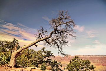 Grand Canyon von fotoping