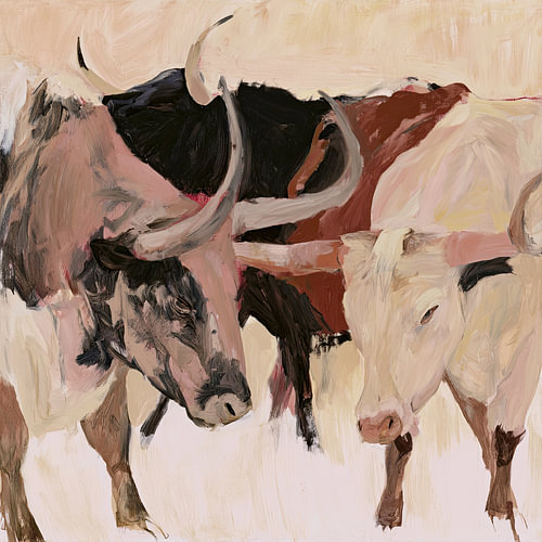 Longhorns by M.A.Z.U.N.