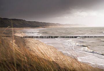 Coastline Zoutelande by Thom Brouwer
