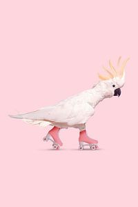 Rollerskating Cockatoo von Jonas Loose