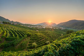 Sunrise over Prosecco Hills Vineyards and Guia Village, Italy by Stefano Orazzini