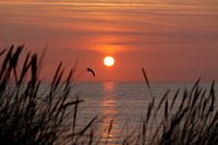 Zonsondergang