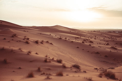 Sahara