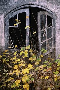 Old House - Blue Window