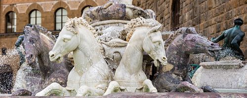 Horses at the Neptune Fountain in Florence, Italy