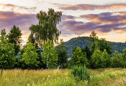 Idyllisch landschap in het Frankische Woud bij Stadtsteinach
