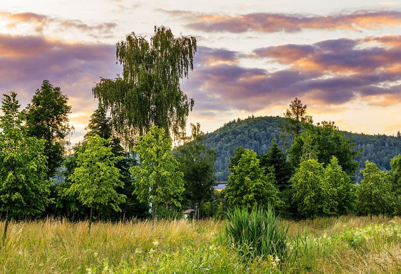 Paysage idyllique dans la forêt de Franconie près de Stadtsteinach par ManfredFotos