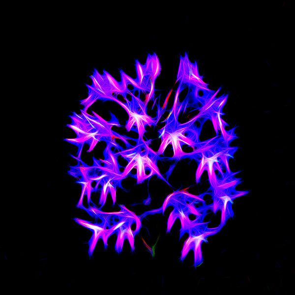 Neon flower by Henryk Rybak