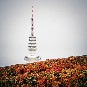 Hamburg - TV Tower van Alexander Voss