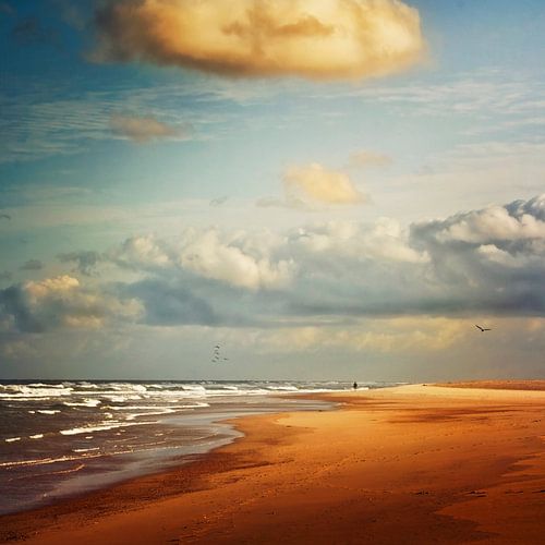 Atlantic beach, France, on a summer morning