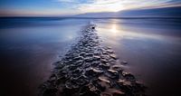 Stilleven aan zee