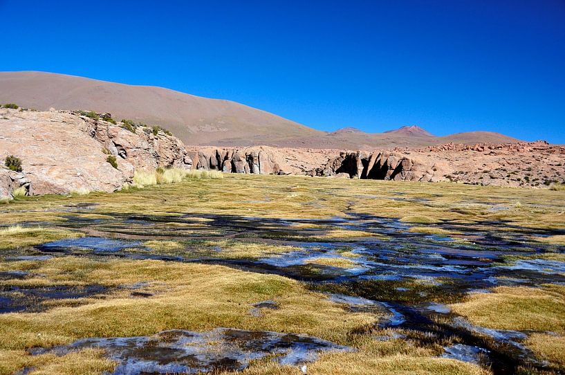 Green oasis in the Bolivian desert by Frank Photos
