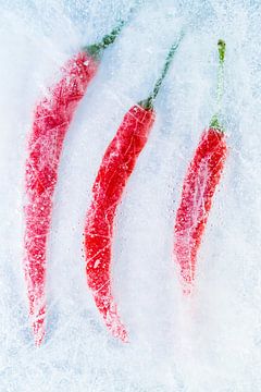 Des poivrons rouges sur de la glace.