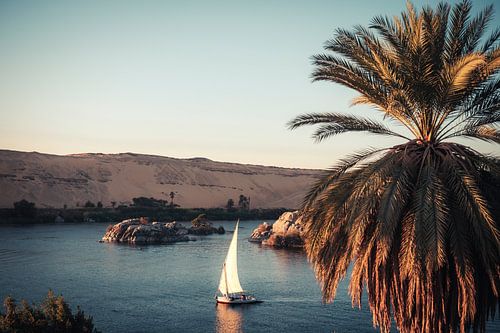 Goud op de Nijl – Traditionele Feloeka bij Aswan