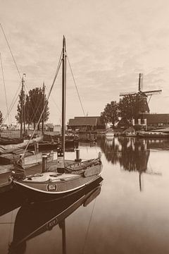 Molen in de haven van Harderwijk van Dennis Mulder