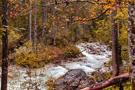 Autumn in the enchanted forest by Dirk Rüter