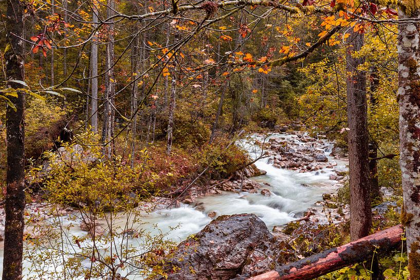 Herbst im Zauberwald von Dirk Rüter