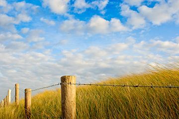 Duinen en Luchten van Erwin Plug