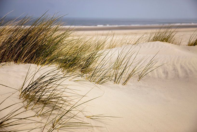 Duinen op Spiekeroog, Nedersaksen van Peter Schickert