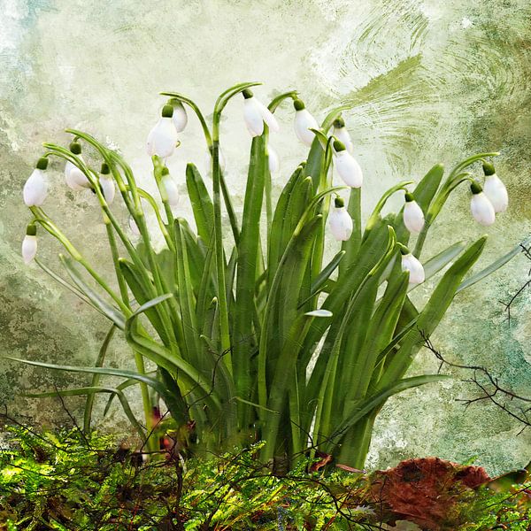 January von Andreas Wemmje