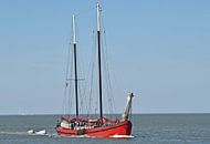 Het bruine vloot schip Mare Marieke van Piet Kooistra thumbnail