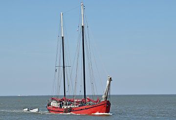 Het bruine vloot schip Mare Marieke van Piet Kooistra