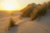 Terschelling op zijn mooist van Dirk van Egmond thumbnail