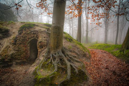 Landgoed Backershagen Wassenaar