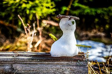 Een kleine sneeuwpop aan de rand van het bos. van Marcel Hechler