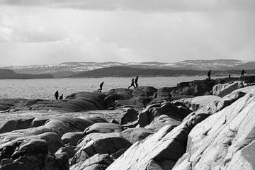 Ruwe Kust van Patrick Teeling