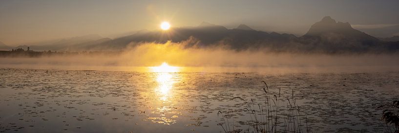 Hopfensee bij zonsopgang van Walter G. Allgöwer