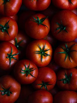 Beleuchtete Tomaten von Tatiana Tor Photography