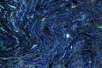 Van Gogh
