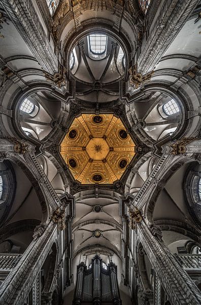 Our Lady of Good Assistance: the ceiling by Werner Lerooy