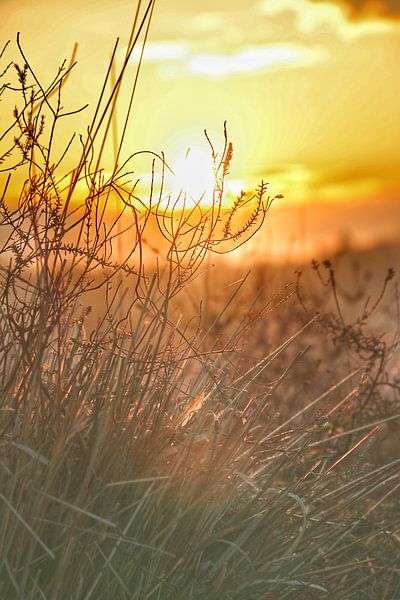 Sonnenaufgang von Berrie