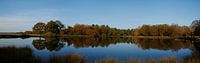 La lisière de la forêt se reflétant dans l'eau sur le Dwingelderveld