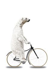 When you Think you've Seen Everything von Marja van den Hurk